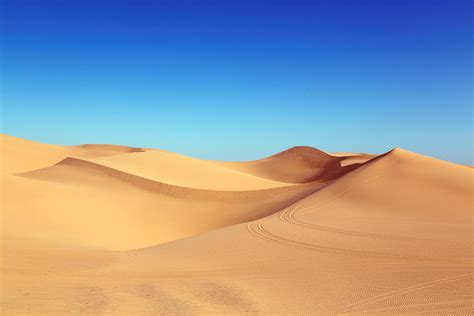 desert stock photo